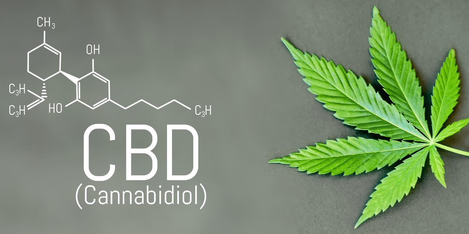 Exploring the Fascinating History of CBD