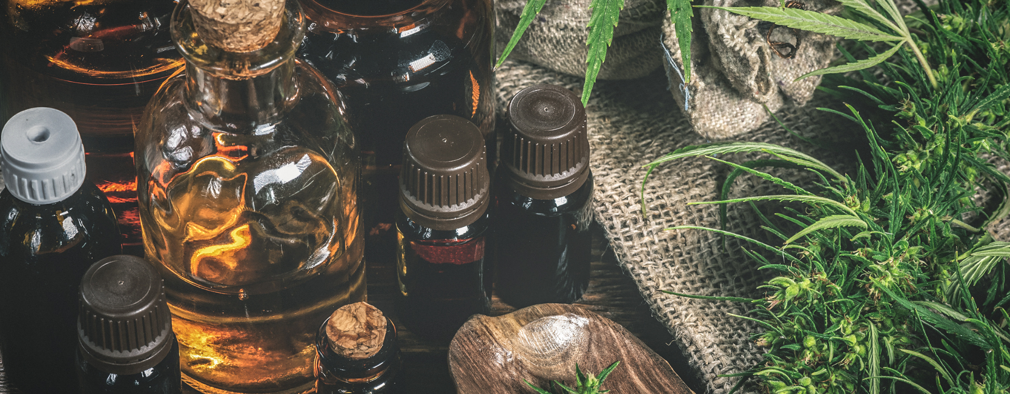 A unique view of the CBD oil ingredients, herbs, and flavors. 