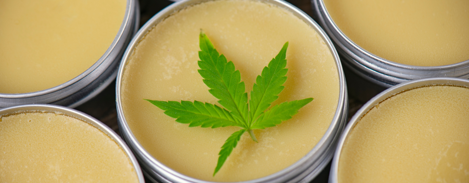 Close up of the CBD salve in its container with a beautiful leaf aspect.  