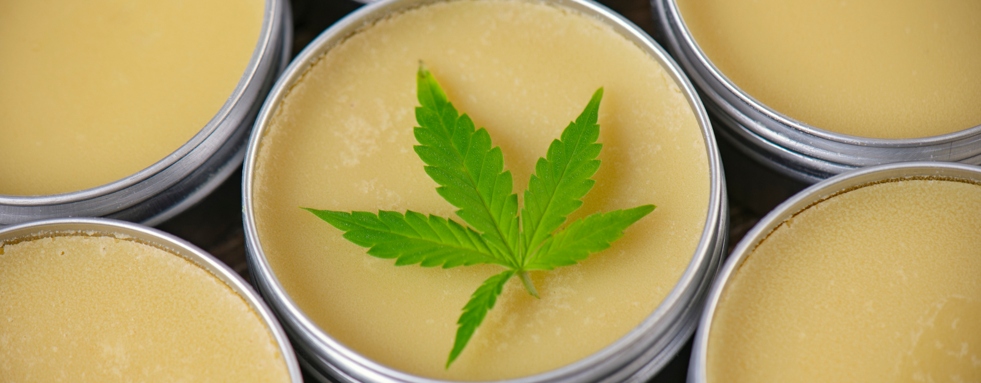 Close up of the CBD salve in its container with a beautiful leaf aspect.  